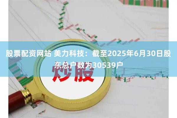 股票配资网站 美力科技：截至2025年6月30日股东总户数为30539户